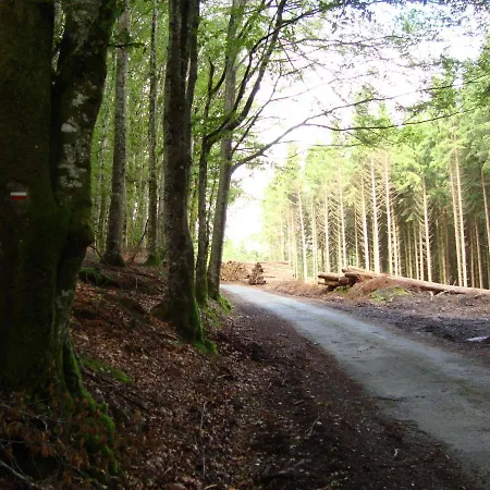 Room In Bb - Breakfast Included Ten Minutes From Lac De La Raviege 2 * Angles (Midi-Pyrenees)